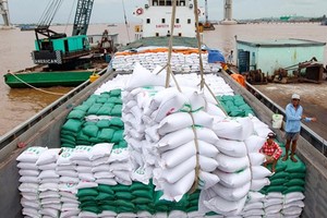 Gạo Việt vất vả giữ thương hiệu