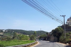 Đường Triệu Việt Vương, Đà Lạt, Lâm Đồng. Ảnh: X.H