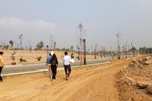 Bất động sản ở các tỉnh vùng ven đang hút khách