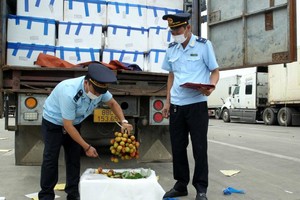 Trung Quốc đã thiết lập 10 khu tập kết trái cây, 4 khu tập kết lương thực tại các cửa khẩu biên giới phía Trung Quốc để hỗ trợ tập kết các mặt hàng nông sản Việt Nam sang.