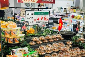 Vải thiều Bắc Giang hiện đã được bảo hộ tại 8 quốc gia như Nhật Bản, Trung Quốc, Australia, Hàn Quốc...