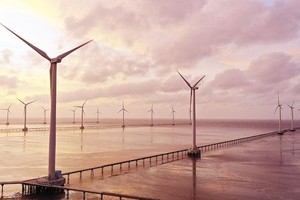 Việt Nam hiện mới có dự án điện gió gần bờ. Trong ảnh: Dự án điện gió Bạc Liêu. Ảnh: Đức Thanh