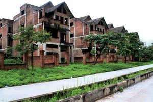 Biệt thự bỏ hoang nhiều năm ở Khu đô thị Phú Thịnh. Ảnh: Dũng Minh