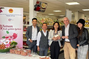 Vải thiều Việt Nam được xuất khẩu chính ngạch sang Hà Lan và được bán với giá 18 Euro/kg (Hơn 500.000 đồng).