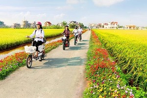 Đến tháng 5/2021 cả nước có 5.298/8267 xã đạt chuẩn nông thôn mới.