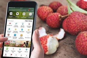 Tận dụng công nghệ để thương mại hóa nông sản