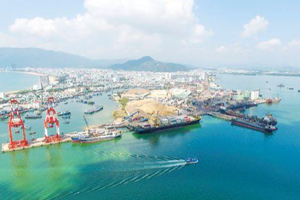 Bình Định: Đề xuất bổ sung cảng biển Long Sơn vào hệ thống cảng biển Việt Nam