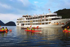 Dịch Covid-19 bùng phát khiến các doanh nghiệp du thuyền đứng trước nguy cơ phá sản.