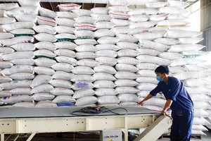 Gạo Việt xuất khẩu ngày càng khẳng định chất lượng, cần kiểm soát chặt gạo nhập khẩu để tránh giả mạo xuất xứ. Ảnh: ĐT