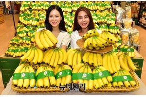 Việt Nam tăng xuất khẩu chuối sang Hàn Quốc.