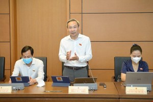 Đại biểu Phan Đức Hiếu tham gia thảo luận tại tổ.