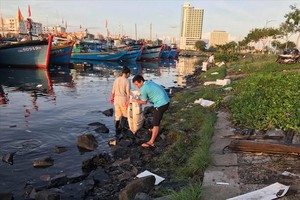 Cảng cá Thọ Quang, quận Sơn Trà, Đà Nẵng. Ảnh: PV