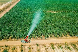 THACO vẫn đầu tư lớn cho mảng nông nghiệp