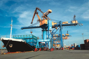 Cảng Đình Vũ sắp thanh toán cổ tức đợt 2/2020 cho cổ đông với tỷ lệ 25% bằng tiền mặt