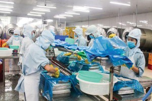 Kim ngạch xuất nhập khẩu cả nước tính đến 15/8 xấp xỉ 400 tỷ USD