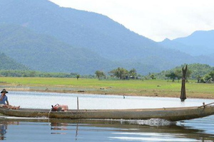 Khu vực bán ngập lòng hồ Sông Hinh nằm trong diện tích đất dự án chăn nuôi bò chất lượng cao Phú Yên từng đề xuất