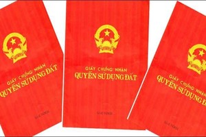 Yêu cầu lãnh đạo TP. Quảng Ngãi và huyện Nghĩa Hành xin lỗi dân