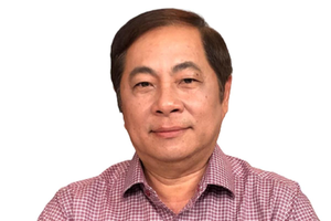 TS. Đinh Thế Hiển, Chuyên gia kinh tế