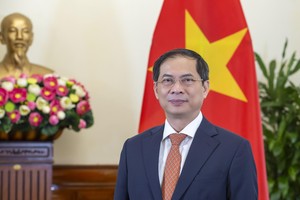 Bộ trưởng Ngoại giao Bùi Thanh Sơn (Ảnh: BNG)