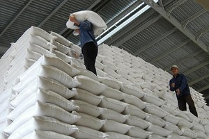 Uỷ ban Thường vụ Quốc hội đồng ý sử dụng 2.199 tỷ đồng mua bù 172.889,47 tấn gạo dự trữ quốc gia đưa vào dự trữ quốc gia theo đề xuất của Chính phủ (Ảnh minh hoạ)