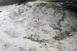 Quảng Nam yêu cầu xử lý nghiêm nạn khai thác cát trắng trái phép