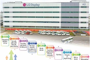 Ngoài những ngành, lĩnh vực đã thu hút sự quan tâm của nhà đầu tư quốc tế, nhiều tập đoàn lớn đang rất quan tâm đến Việt Nam khi định hướng mở rộng, tăng vốn đầu tư trong một số lĩnh vực mới. Ảnh: Việt Linh; Đồ họa: Đan Nguyễn 