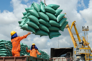 Việt Nam đã xuất khẩu 4 triệu tấn gạo trong 8 tháng, trong đó xuất sang Philippines và Trung Quốc đạt gần 2,3 triệu tấn.