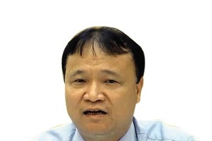 Ông Đỗ Thắng Hải, Thứ trưởng Bộ Công thương.