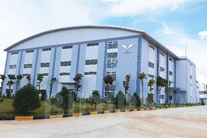 Công ty cổ phần Bidiphar - một doanh nghiệp tại Bình Định đang chậm thoái vốn nhà nước.