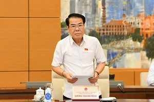 Trưởng ban Dân nguyện Dương Thanh Bình báo cáo tại phiên họp.