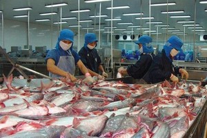 Thủy sản Vĩnh Hoàn (VHC): Doanh thu quý III/2021 tăng 17% nhờ thị trường Mỹ