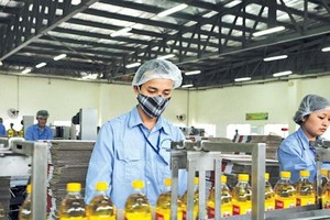 Vocarimex (VOC) chia cổ tức đặc biệt với tỷ lệ 100% bằng tiền mặt