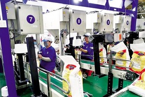 Đang đà tăng giá, Nông nghiệp công nghệ Trung An (TAR) có thêm cổ đông mua hơn 1 triệu cổ phiếu