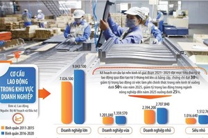Tổ chức lại sản xuất, cơ cấu lại lao động nhằm tăng hiệu suất làm việc tại doanh nghiệp cũng là yếu tố góp phần vào việc thực hiện thành công các mục tiêu tăng trưởng kinh tế năm 2022. Ảnh: Đức Thanh. Đồ họa: Đan Nguyễn