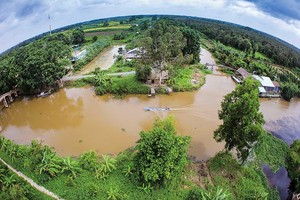 Khu bảo tồn thiên nhiên Lung Ngọc Hoàng Ảnh: Lý Anh Lam