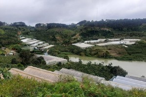 Mô hình nông nghiệp nhà kính kết hợp du lịch canh nông phát triển mạnh thời gian qua ở Lâm Đồng. Ảnh: Linh Đan
