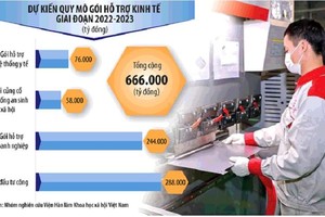 Đồ họa: Đan Nguyễn