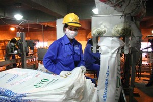 Cổ phiếu phân bón được kỳ vọng tăng giá mạnh thời gian tới.