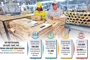 Vấn đề đặt ra hiện nay là làm thế nào để bắt kịp nhịp xu thế mới, bởi nhiều doanh nghiệp Việt Nam dù đã được hỗ trợ, nhưng vẫn khá vất vả tìm cửa phục hồi. Đồ họa: Đan Nguyễn