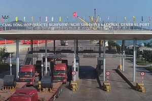 Doanh nghiệp được nhập ô tô dưới 16 chỗ qua cảng biển Nghi Sơn từ 24/1/2022.