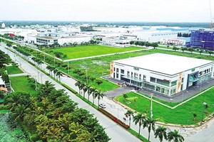 Nhu cầu kho bãi tăng cao, khiến các nhà đầu tư đổ xô săn lùng quỹ đất. Trong ảnh: Nhà kho tại Khu công nghiệp Long Hậu 2