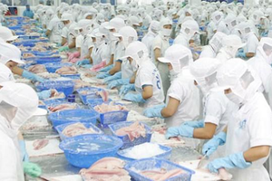 Sản phẩm phi lê cá tra là mặt hàng xuất khẩu chủ lực của Đồng Tháp đang phục hồi tích cực