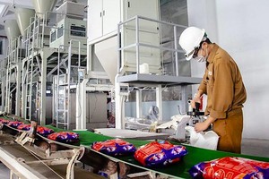 Vinachem sắp bán nốt lượng cổ phần đang nắm tại Hoá chất Đức Giang (DGC)