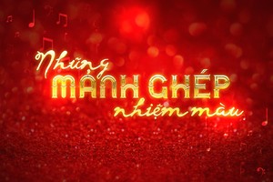 Những mảnh ghép nhiệm màu - chương trình ca nhạc nhân dịp lễ Giáng sinh