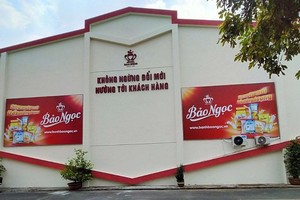 BNA: Chiến lược linh hoạt, sẵn sàng tăng tốc