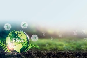 Phó Chủ tịch HĐQT SBT: “Chúng tôi kiên định với mục tiêu phát triển bền vững”