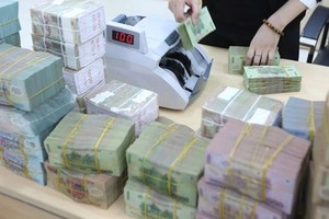 Chính phủ dự kiến hỗ trợ tiền tệ khoảng 46.000 tỷ đồng (Ảnh minh hoạ của Duy Linh)