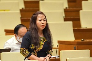 Đại biểu Vũ Thị Lưu Mai (Hà Nội).