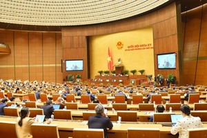 Phiên thảo luận về gói chính sách tài khoá, tiền tệ tại đầu cầu Diên Hồng.
