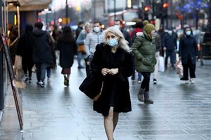 (Ảnh minh họa. THX/TTXVN)